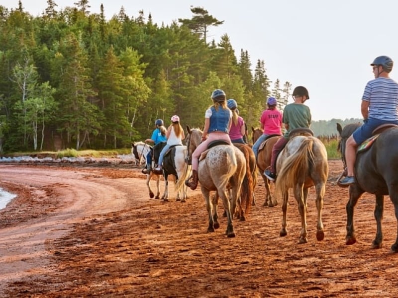 Brudenell Riding Stables